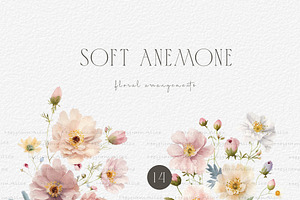 Soft Anemone Floral