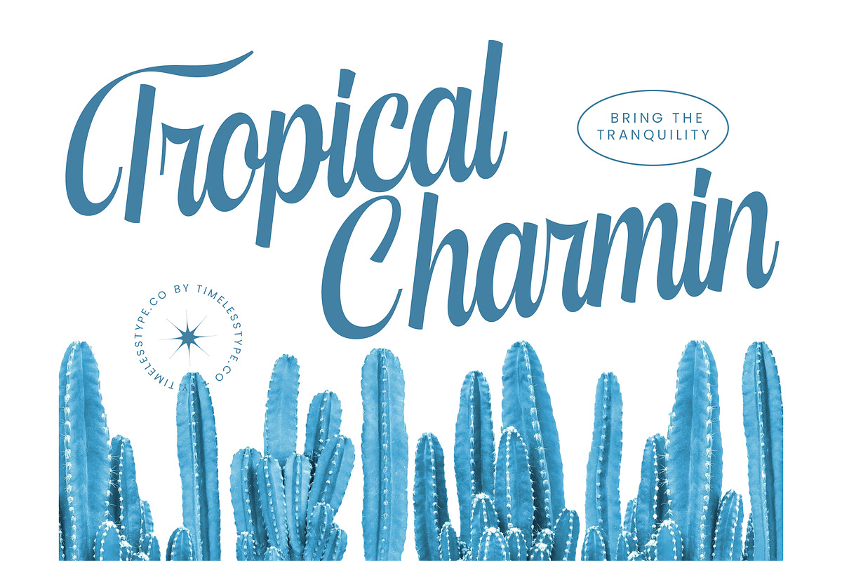 Kameli Antares Modern Calligraphy, a Script Font by timelesstype.co (Photo 4 of 20)