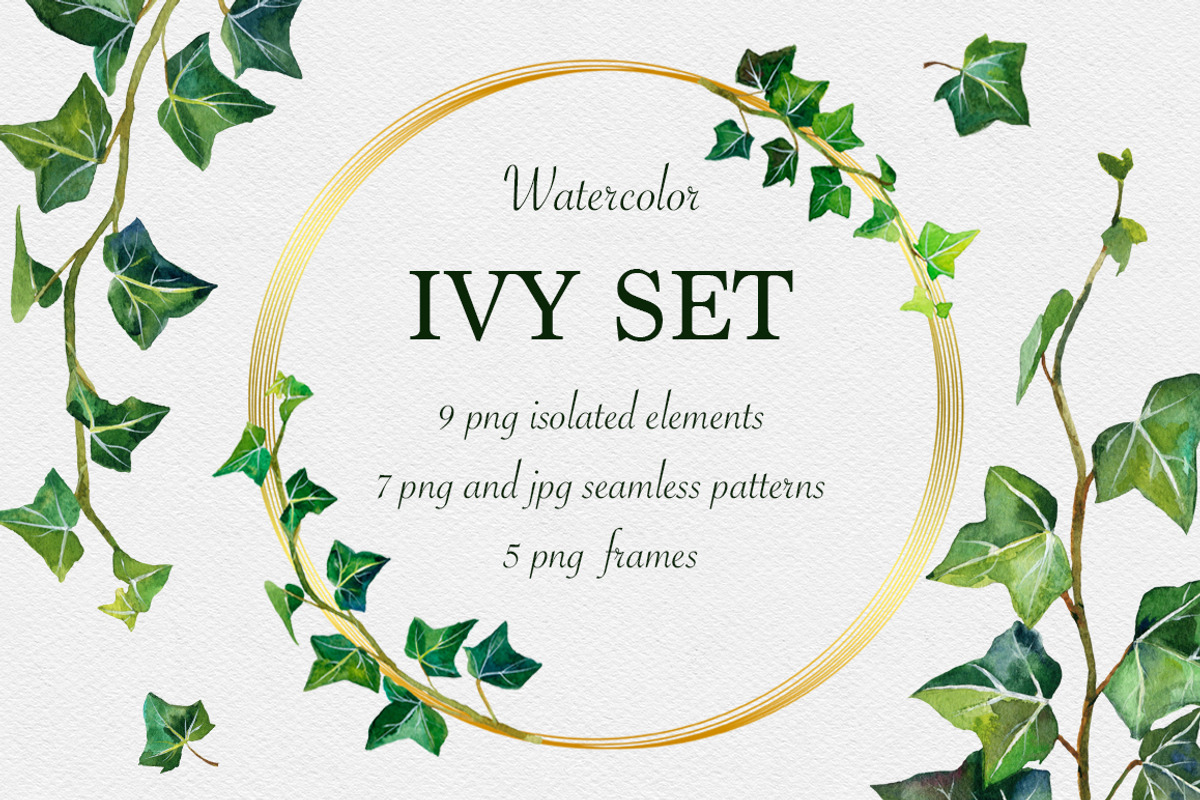 Watercolor ivy set, a Decorative Illustration by mArtstore (Photo 1 of 7)