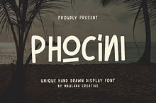 Phocini Unique Hand Drawn Display