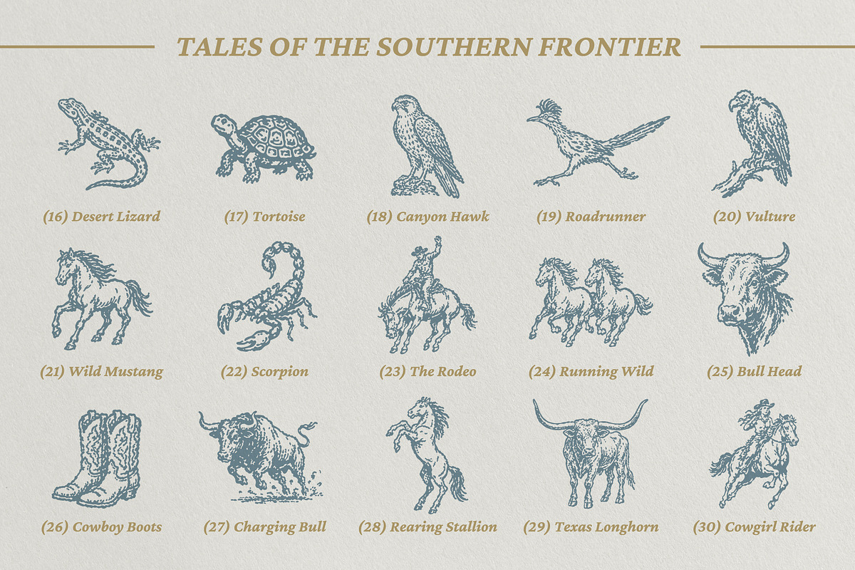 Wild South: 60 Frontier Vectors, an Object Illustration by lettett (Photo 4 of 8)