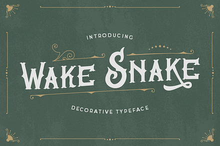 Wake Snake - Decorative Typeface, a Font by Typefactoryco
