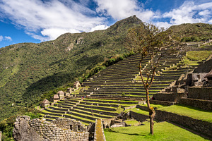 Panoramic view of Machu Picchu ruins with Huayna Picchu in backg, an Architecture Photo by GoodGoods
