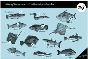 Fish Of The Ocean - 13 HD PS Brushes