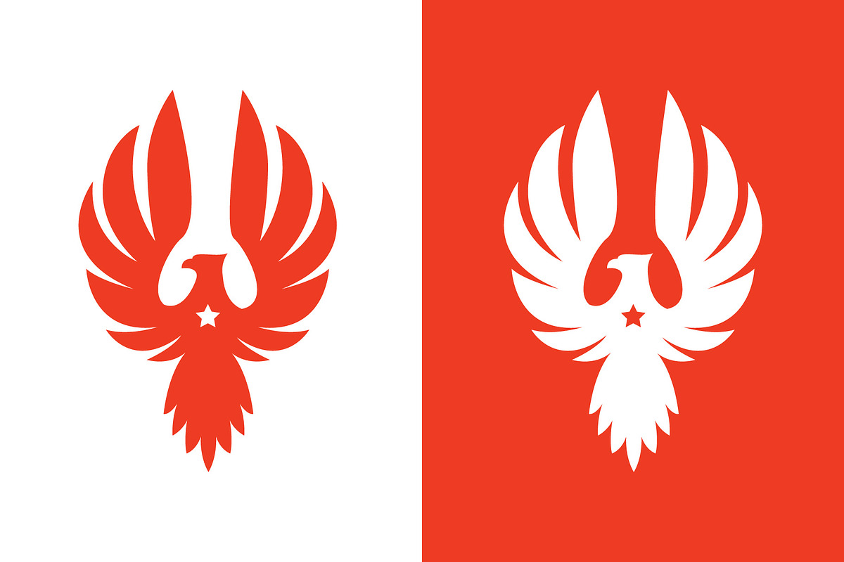 Hawk Eagle Falcon With Star Logo, a Branding & Logo Template by funpixel
