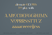 VSOP - elegant serif, 70 fonts, a Serif Font by VP Fonts (Thumbnail 20 of 21)