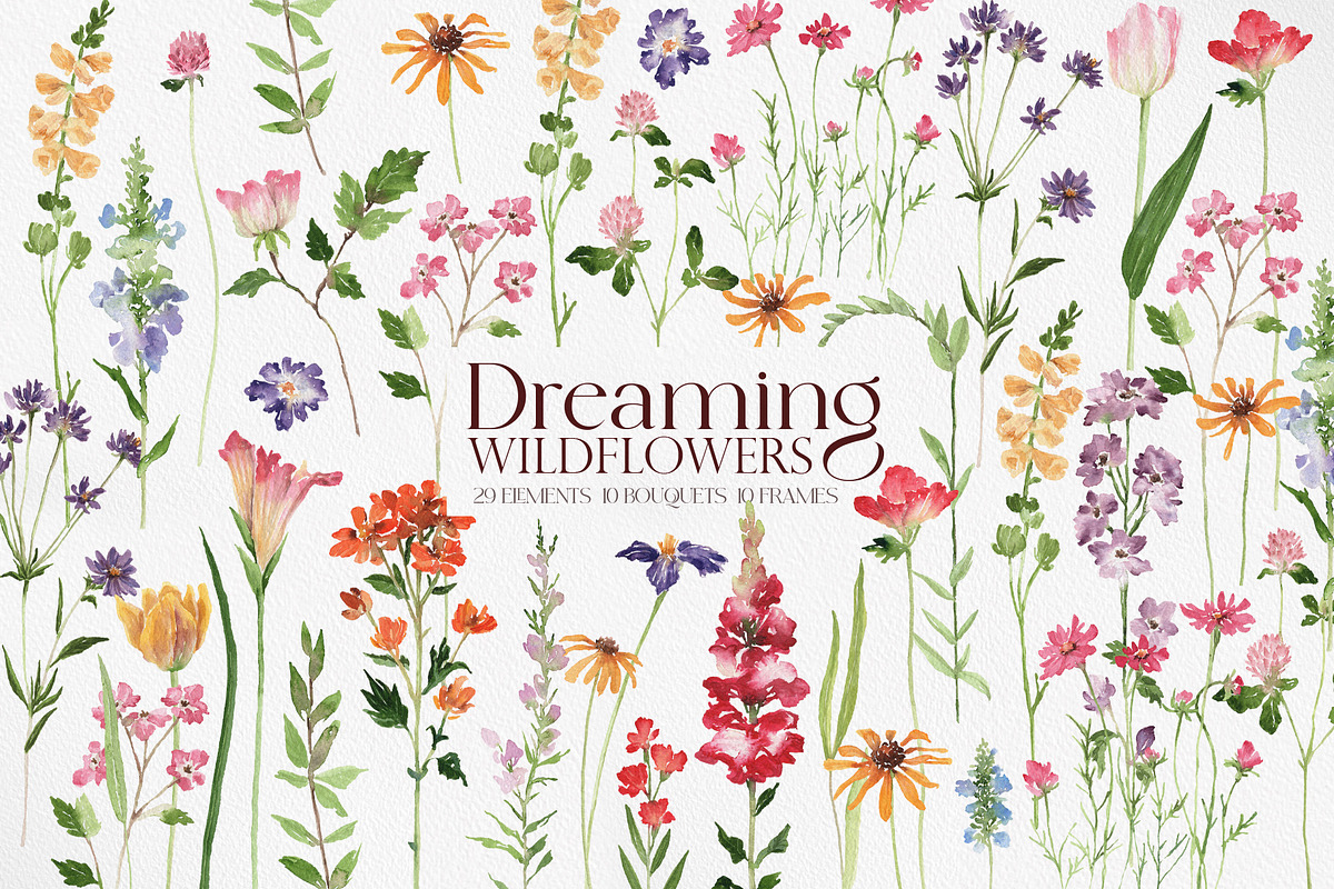 Dreaming Watercolor WILDFLOWER, a Decorative Illustration by Beigetime (Photo 1 of 14)