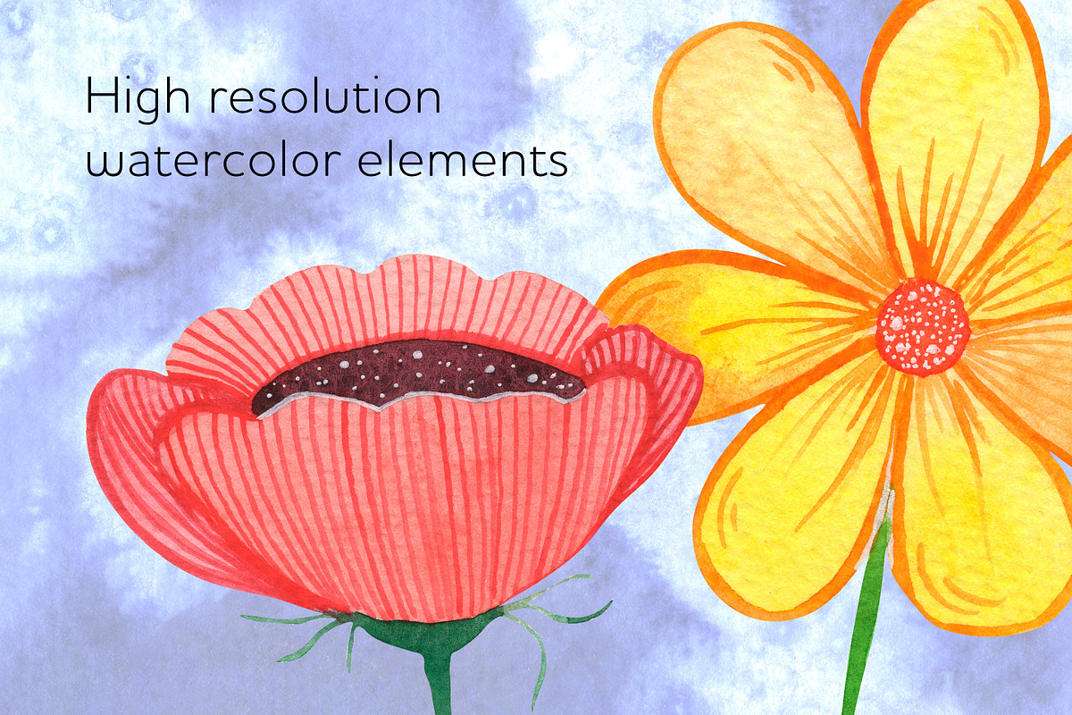 Colorful watercolor flowers clipart, a Decorative Illustration by AnastasiaWatercolor (Photo 7 of 7)