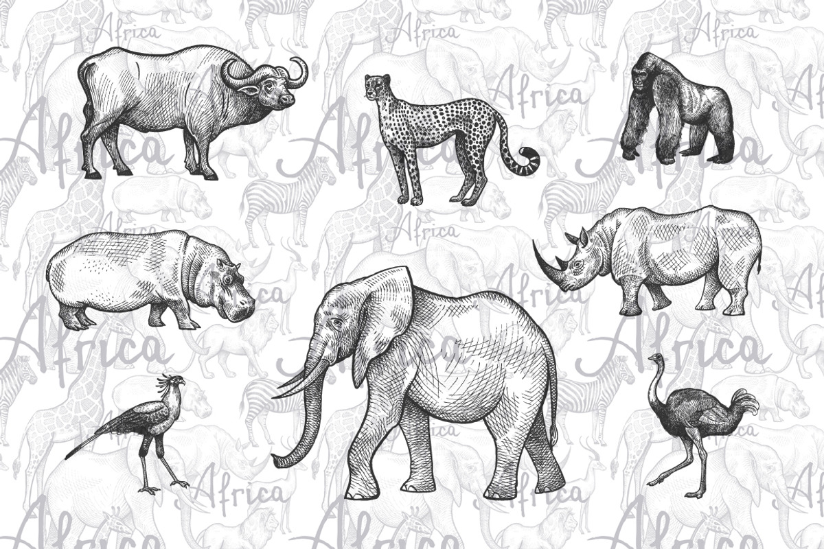 African animals., an Object Graphic by MarinaVorontsova (Photo 2 of 6)