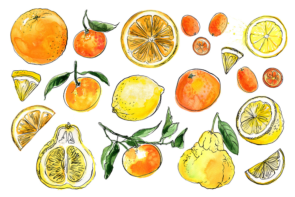 Food watercolor. Fruits and berries, a Food Illustration by irina.vaneeva (Photo 4 of 10)