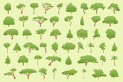 Collection Of 51 Tree, an Illustration by Mantas Bac (Thumbnail 5 of 5)