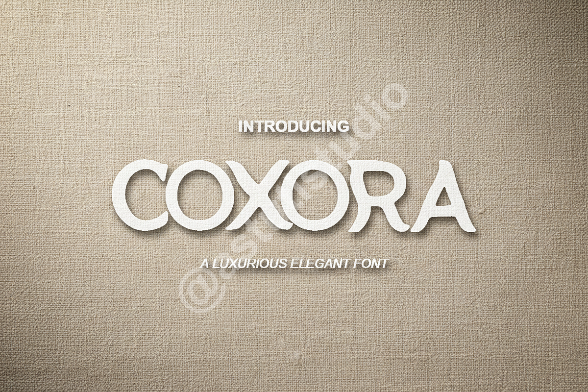 Coxora - Luxury Modern Serif Font Du, a Font by Astuti Studio (Photo 1 of 16)
