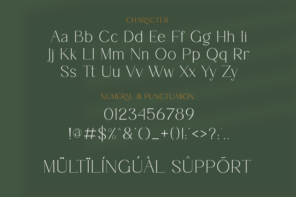 Garelina | Modern Serif Font, a Serif Font by Rissyletter Studio (Photo 9 of 11)