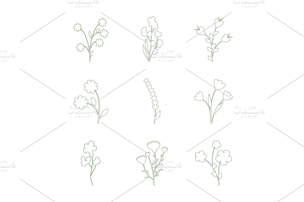 Various line art botanical flower, an Object Illustration by okskukuruza