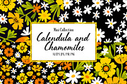 Сalendula and chamomile, a Pattern Graphic by GALAKAM (Thumbnail 1 of 7)