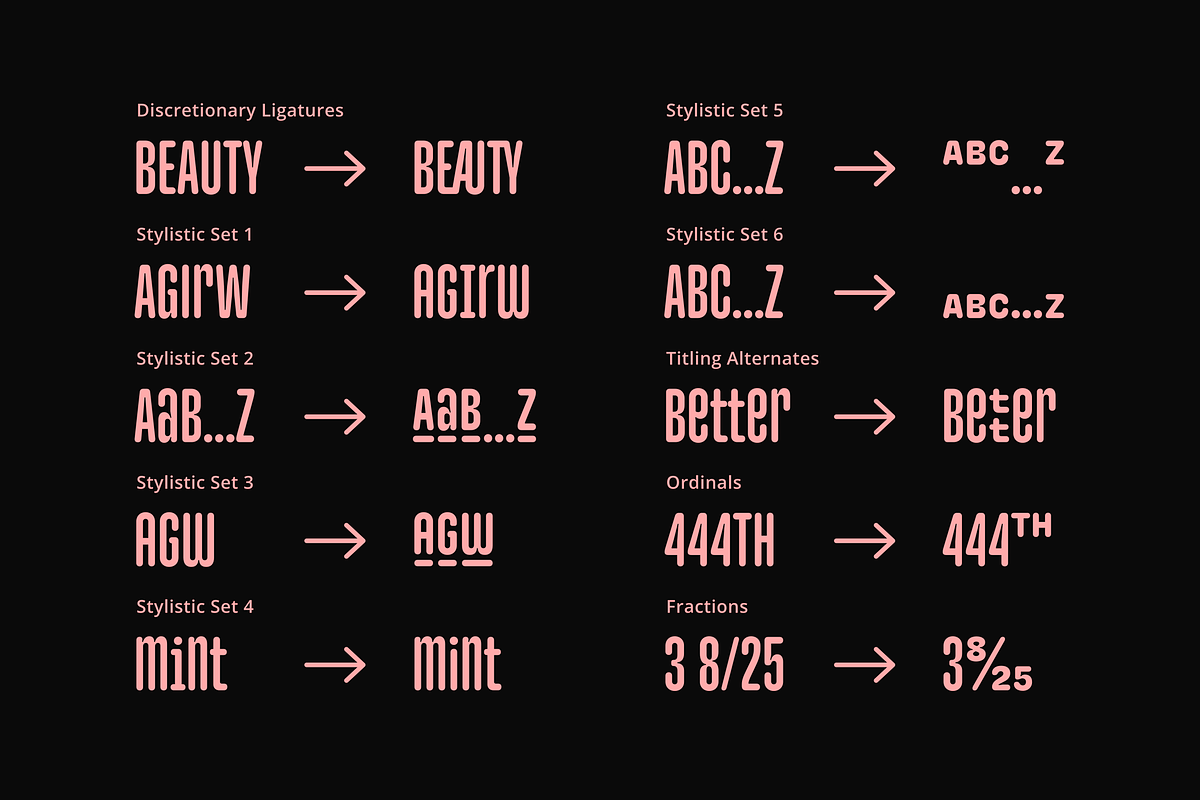 Monologue Rounded, a Sans Serif Font by Halfmoon Type (Photo 8 of 9)