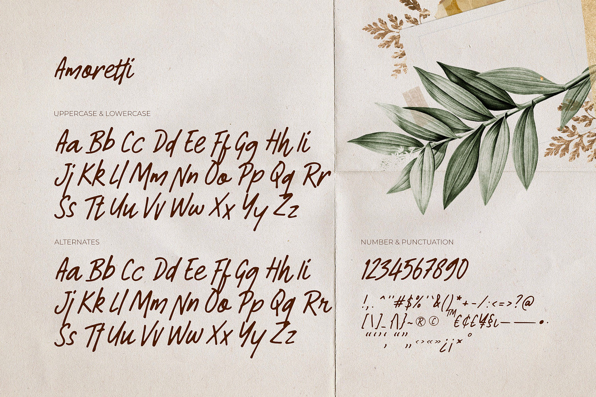 Amoretti - Handwriting Type, a Handwritten Font by ikiiko (Photo 5 of 6)