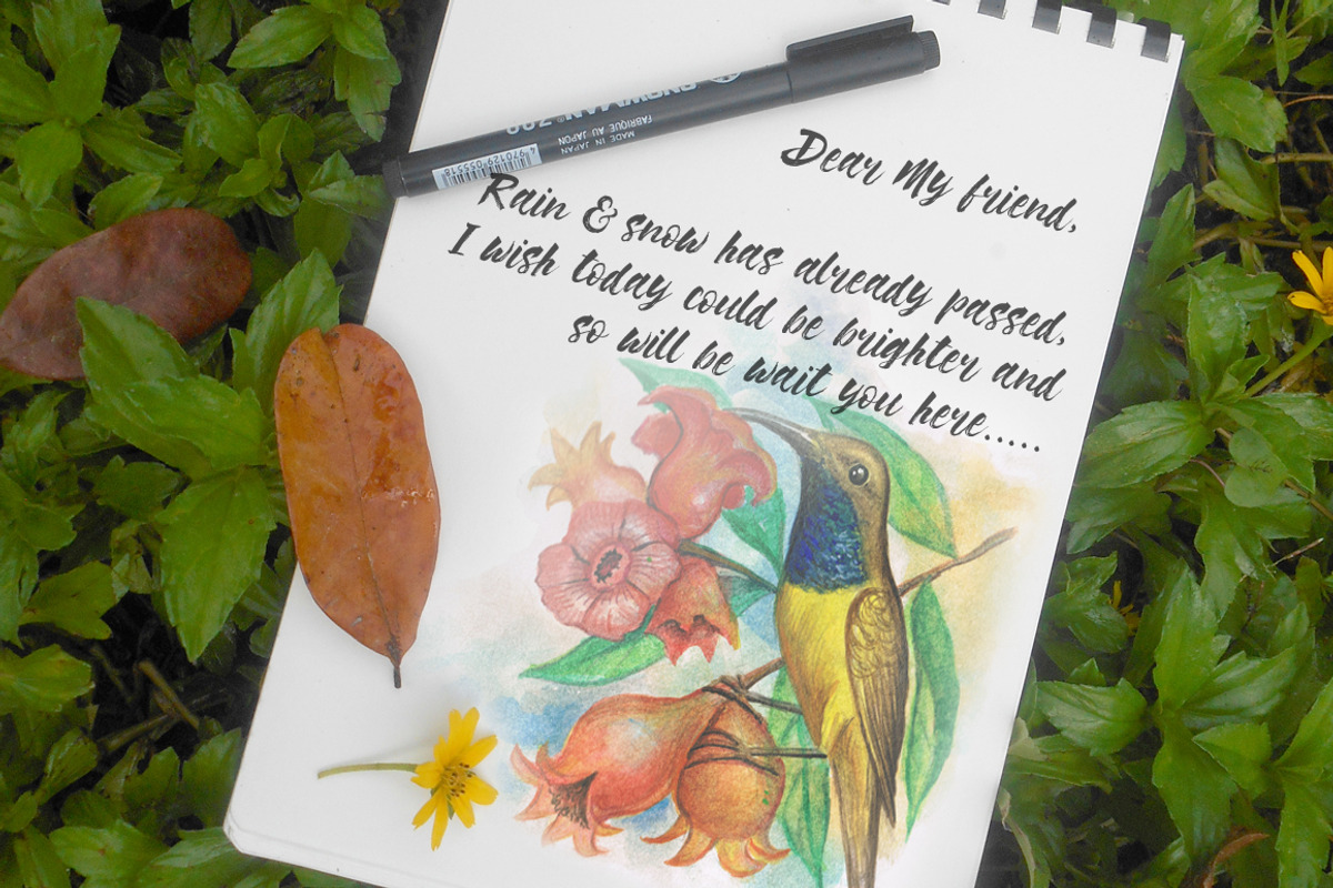 watercolor birds, an Illustration by Graphobia (Photo 3 of 5)