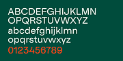 Realgar, a Sans Serif Font by Emtype Foundry (Thumbnail 11 of 11)