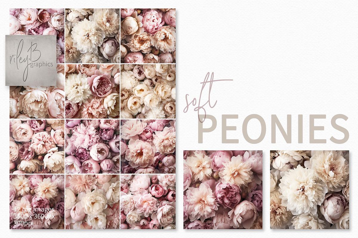 Soft Peonies, a Texture Graphic by rileyBgraphics (Photo 1 of 7)