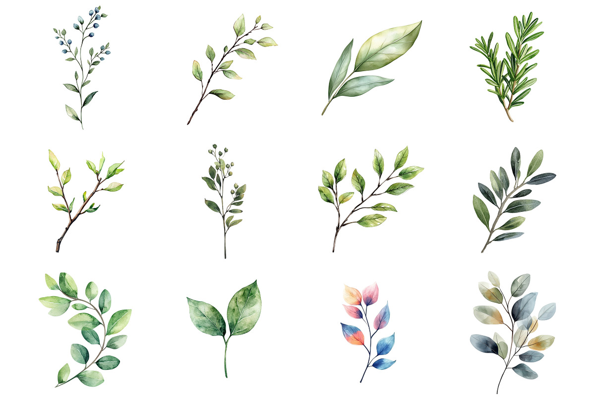 Watercolor Minimal Botanical, an Illustration by Design Market (Photo 3 of 3)
