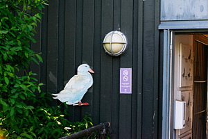 Duck decoration on a wooden wall with plants near an entrance in Reykjavik, a Photo by AS photostudio