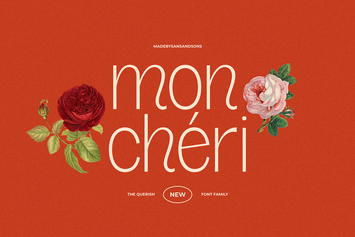 SNS - Querish, a Sans Serif Font by Sans & Sons (Photo 8 of 10)