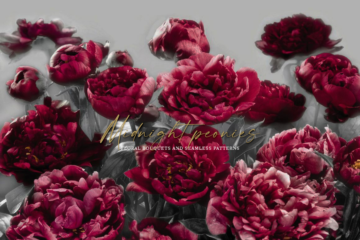 Dark red peonies, an Illustration by Vasmila (Photo 4 of 10)