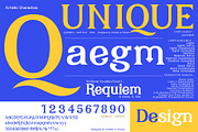 Quadrim - Serif Font Family, a Serif Font by Artistic & Unique (Thumbnail 6 of 16)