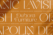 Baby - Luxury Premium Font, a Serif Font by Sensatype (Thumbnail 8 of 12)