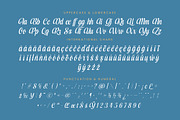 Kameli Antares Modern Calligraphy, a Script Font by timelesstype.co (Thumbnail 18 of 20)