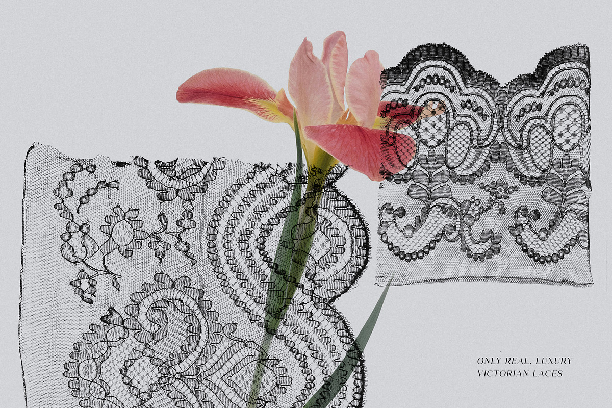 Black Lace Pieces Overlays, a Texture Graphic by Kaleriia (Photo 2 of 9)
