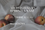 Magina Modern Serif Font, a Serif Font by Graphicxell (Thumbnail 8 of 8)