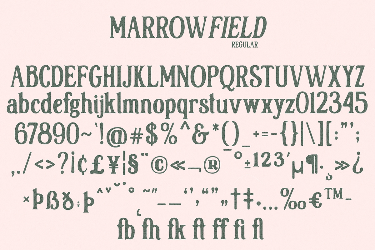 Marrowfield, a Serif Font by deadlock studio (Photo 7 of 9)
