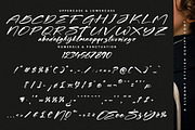 Shadow Brawlers, a Script Font by Integritype Studio (Thumbnail 12 of 13)