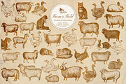 Vintage Farm Animal Vector Graphics, an Object Graphic by Eclectic Anthology (Thumbnail 7 of 9)