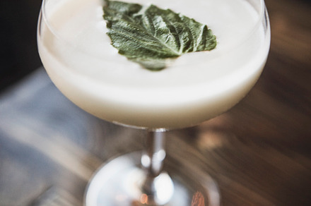 Cocktail Shaker Straining Martini preview 6