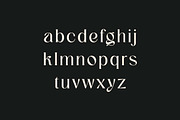 Ciguatera Serif Logo Font, a Serif Font by UICreative (Thumbnail 6 of 13)