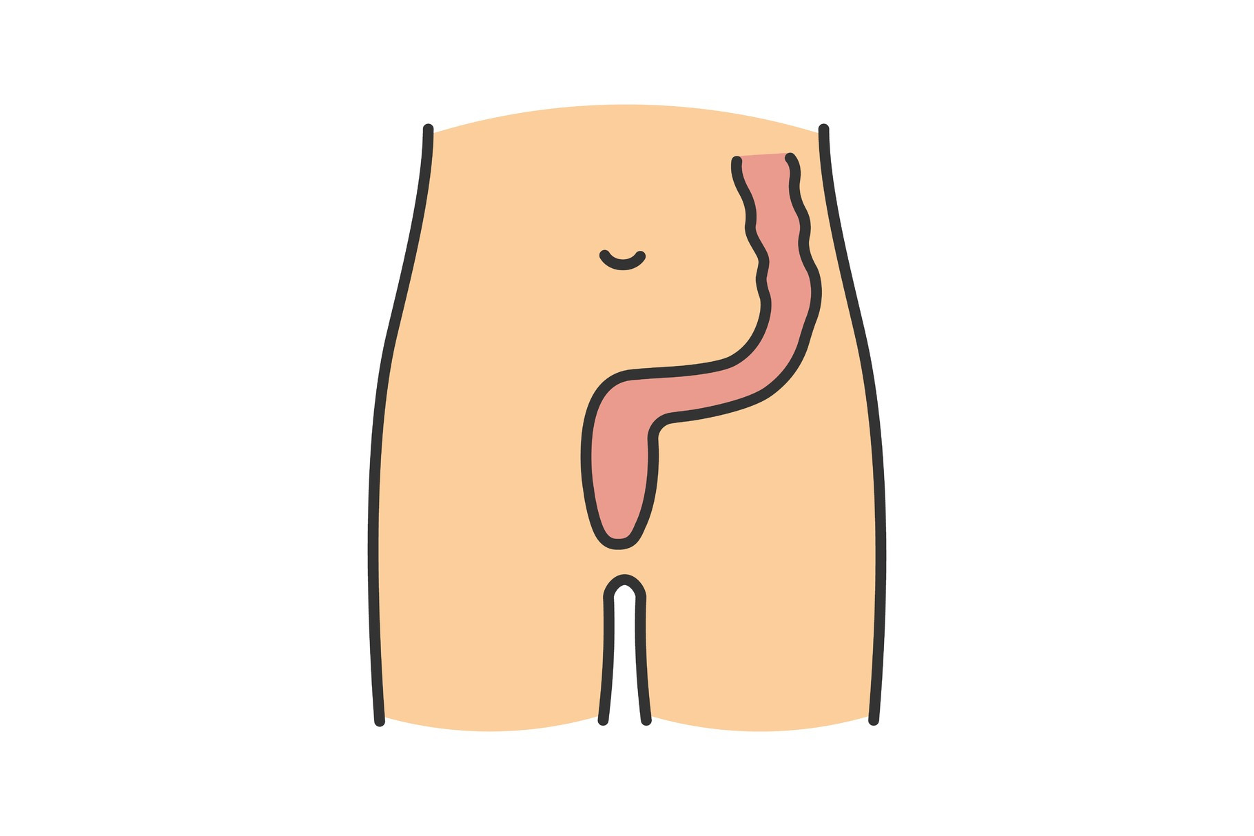 Rectum and anus color icon | Icons ~ Creative Market