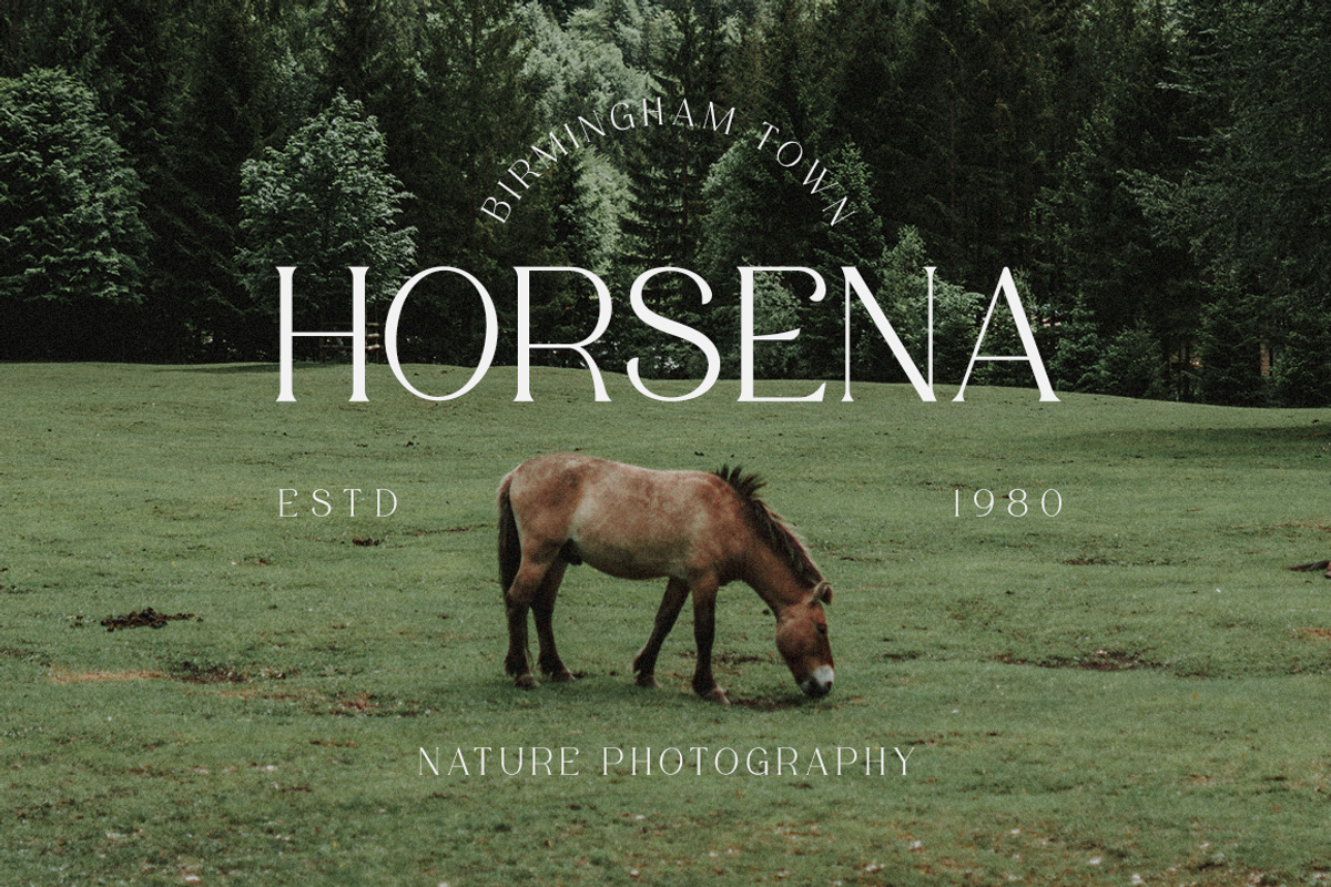Figurative - Elegant Serif Font, a Serif Font by RockboyStd (Photo 8 of 12)