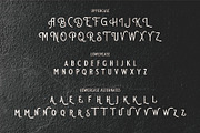 AIRFIELD - Vintage Typeface, a Serif Font by Havinkpen (Thumbnail 7 of 8)