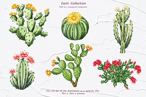 Cactus Watercolor Clipart. Succulent