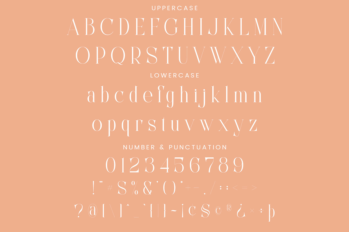Casho - Elegant Serif Font, a Serif Font by Aqeel_Art (Photo 8 of 12)