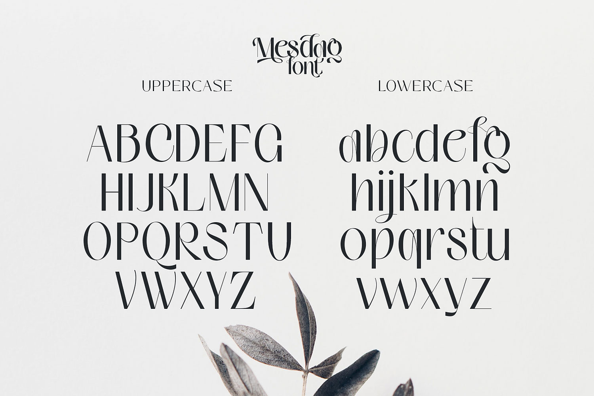 Mesdag Font - unique and chic family, a Sans Serif Font by creativemedialab (Photo 5 of 14)