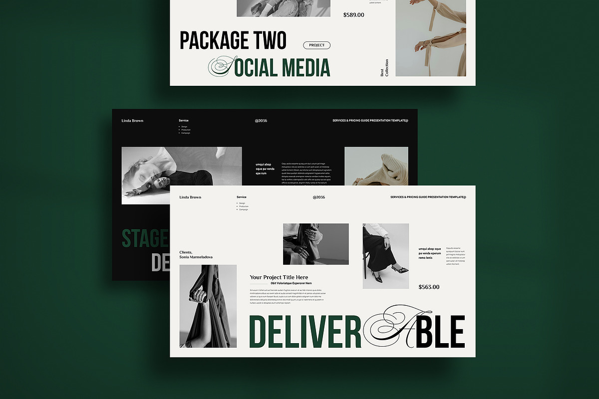 Services & Pricing Guide Template, a Presentation Template by StyleArt (Photo 3 of 13)