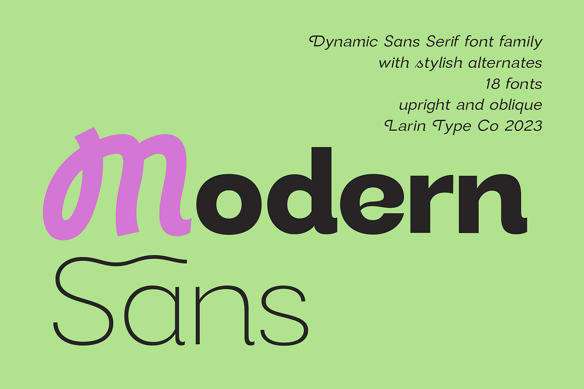 Modern Sans, a Sans Serif Font by Larin Type Co. (Photo 1 of 15)