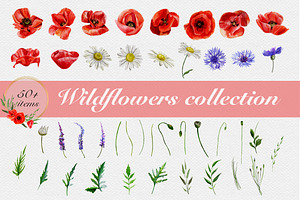 Watercolor wildflowers collection