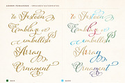 Adorn Collection, a Sans Serif Font by Laura Worthington (Thumbnail 12 of 62)
