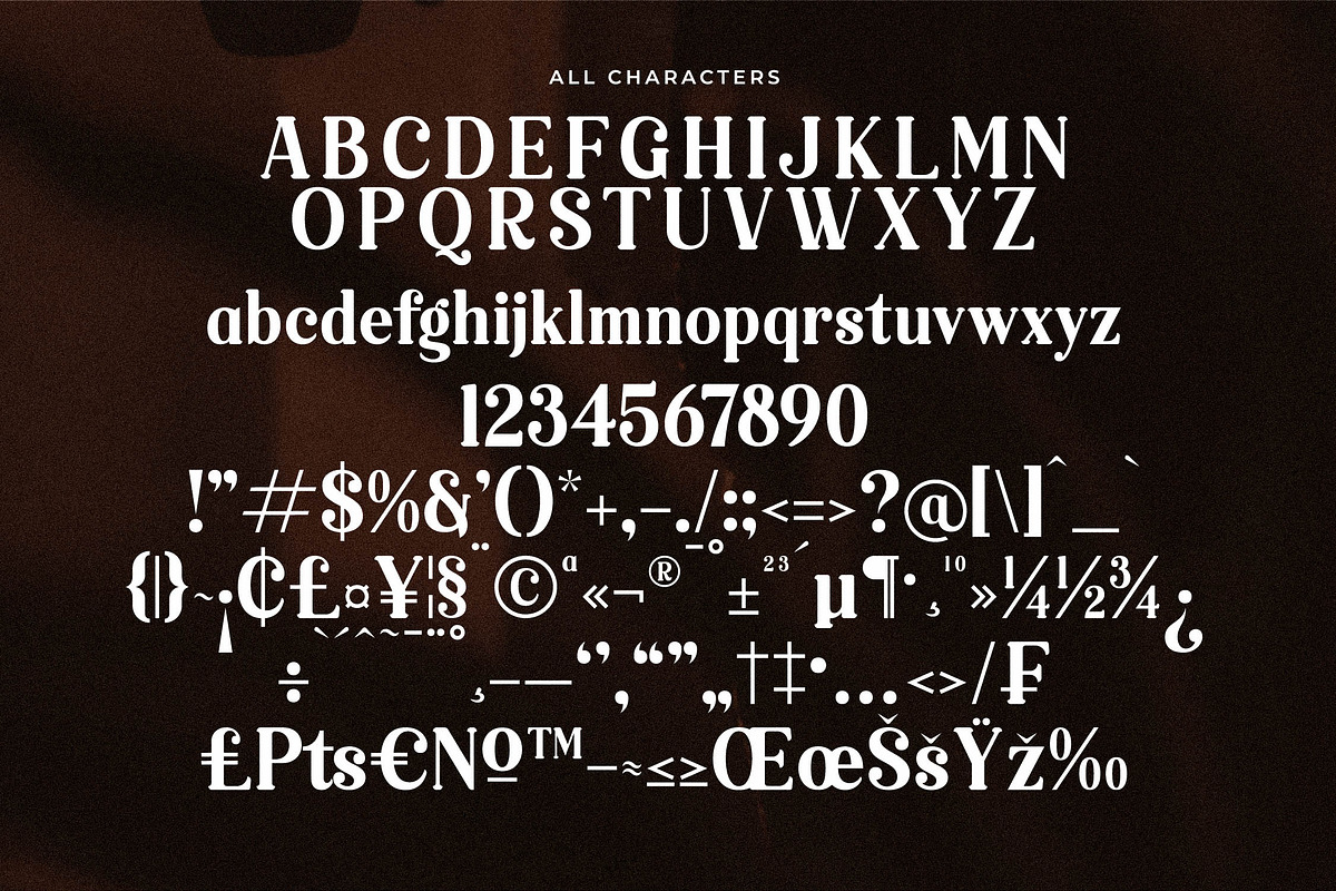 Raillinc Modern Display Serif Font, a Font by Storytype Studio (Photo 17 of 19)