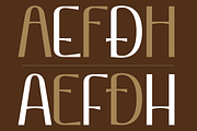 VEN - Display Typeface, a Font by Dat Do (Thumbnail 15 of 25)